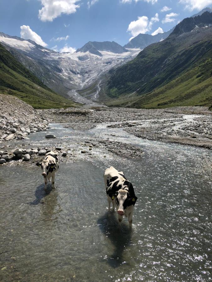 Landhaus Zillertal Рамзау им Цилертал Екстериор снимка