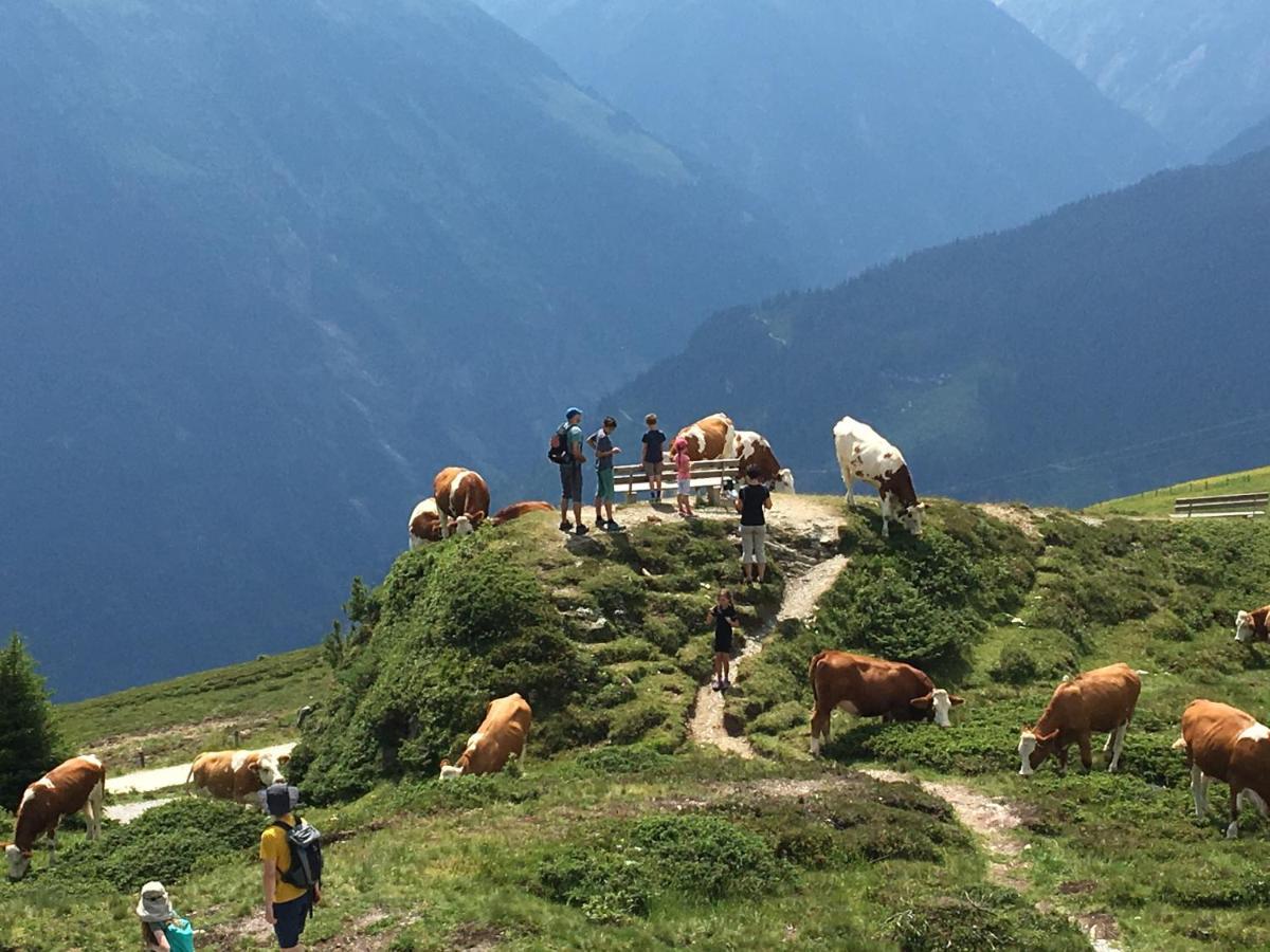 Landhaus Zillertal Рамзау им Цилертал Екстериор снимка