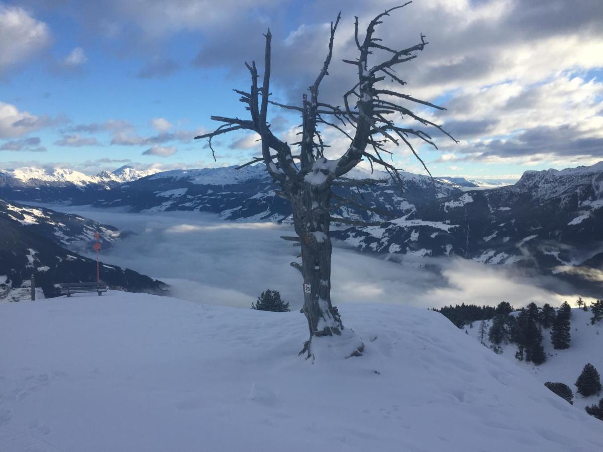 Landhaus Zillertal Рамзау им Цилертал Екстериор снимка
